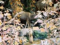 photos 2000-200901005